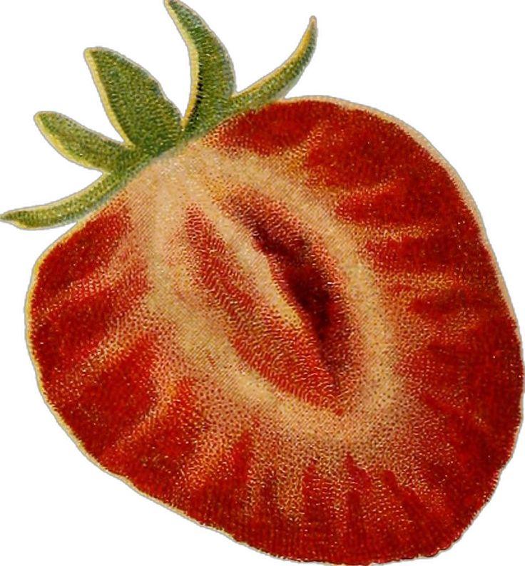 Harvest Sunrise Blend of Countryside Berries