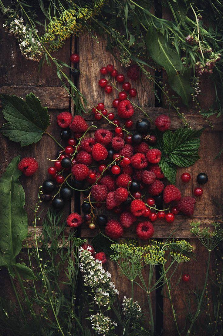 Wholesome Berry Bounty from Local Fields
